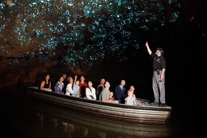 Auckland: Rotorua Mori Village, Waitomo Caves & Lunch - Who Will Enjoy This Tour?