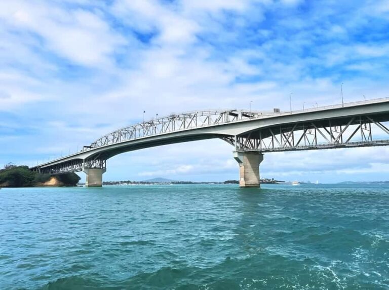 Auckland: Scenic Wine and Cheese Harbour Cruise - A Closer Look at the Experience