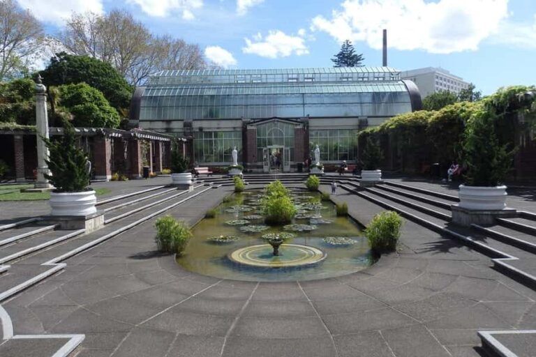 Auckland: Ship to Shore Full-Day Excursion - Why This Tour Works Well