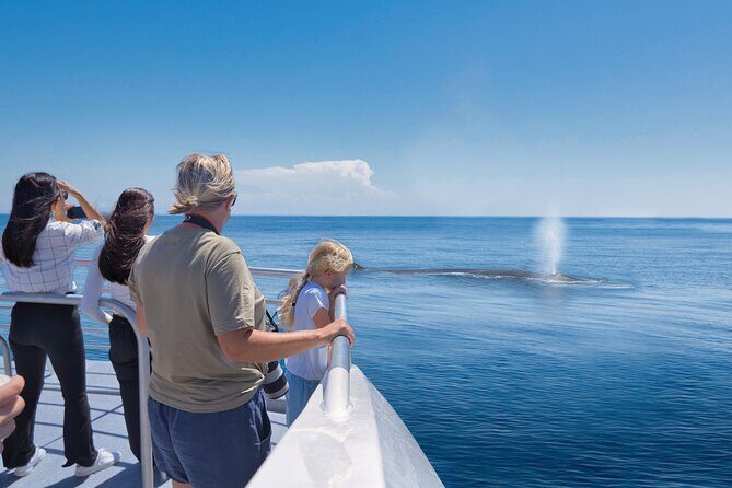 Auckland: Tikapa Moana Dolphin, Whale and Island Cruise - The Sum Up