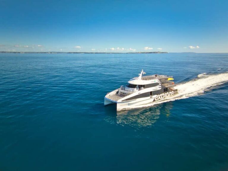 Auckland: Tikapa Moana Whales, Dolphins and Islands Cruise - How the Tour Fits Into Your Auckland Adventure