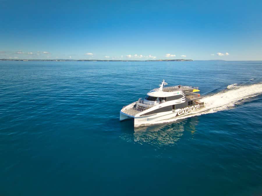 Auckland: Tikapa Moana Whales, Dolphins and Islands Cruise - How the Tour Fits Into Your Auckland Adventure