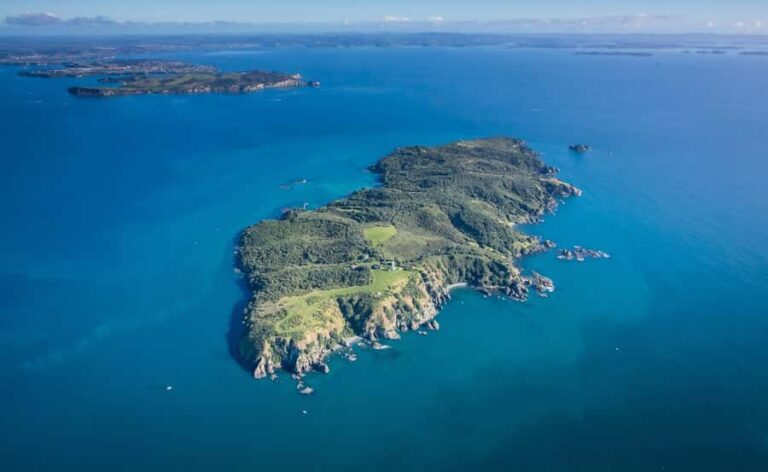 Auckland: Tiritiri Matangi Island Ferry - Who This Tour Is Best For