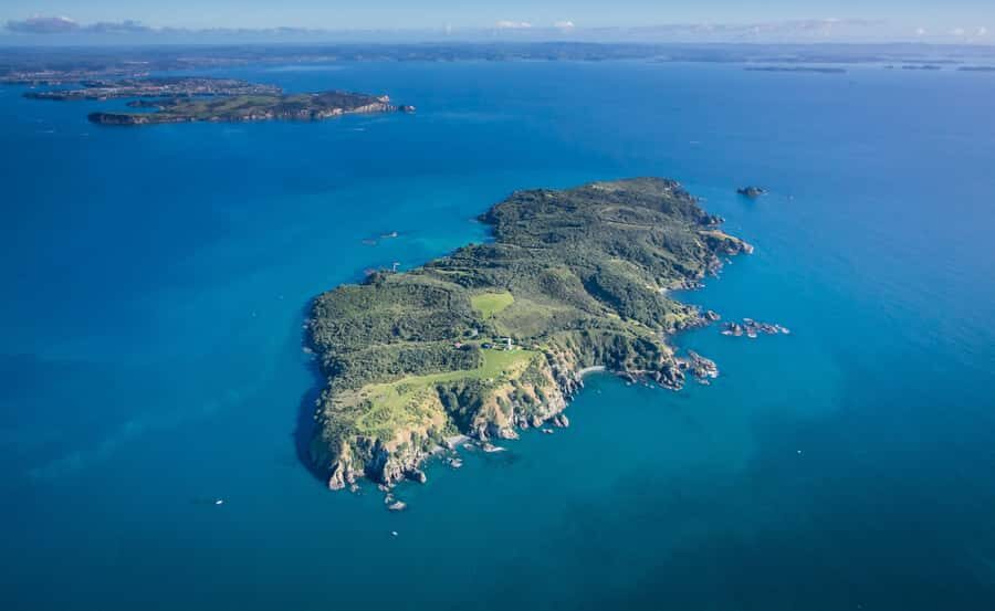 Auckland: Tiritiri Matangi Island Ferry - Who This Tour Is Best For