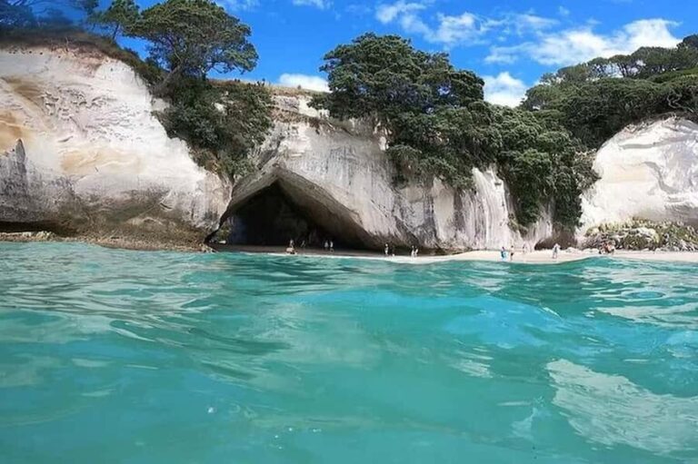 Auckland to Coromandel: Private Coastal Escape - Who Should Consider This Tour?