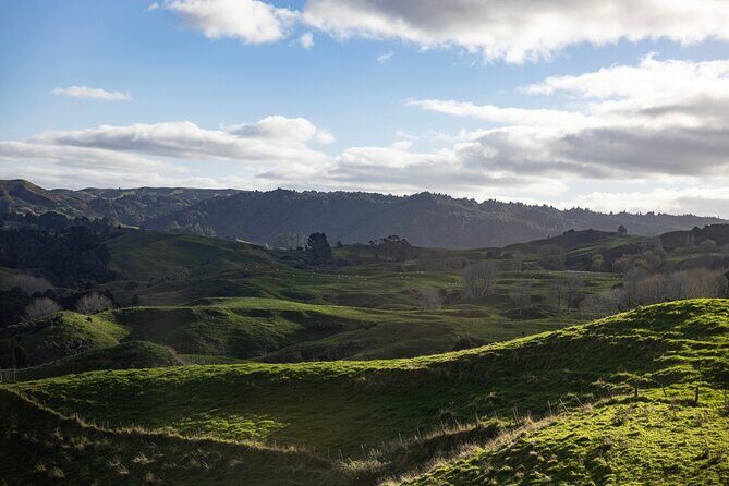 Auckland to Hobbiton Private Tour Shire Movie Set and Waikato - Practical Details: What Does the Tour Include?