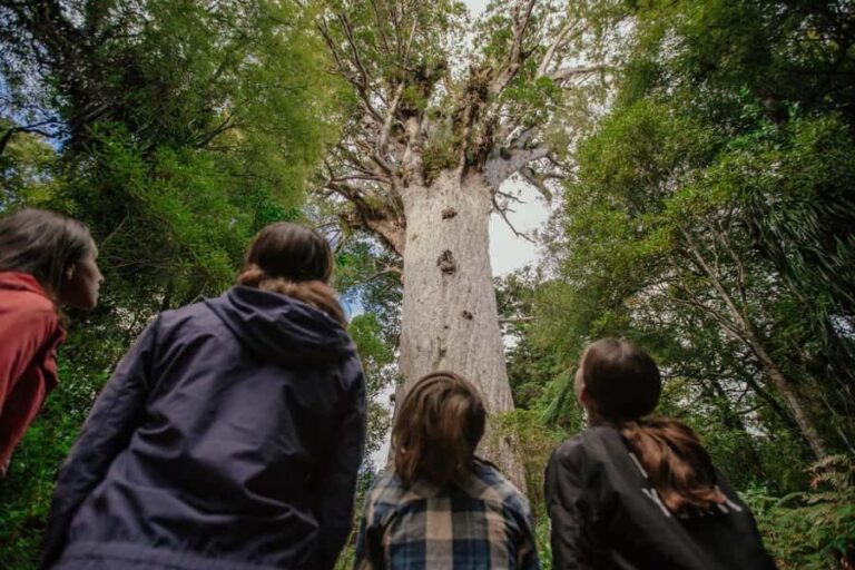 Auckland to Paihia via West Coast Small Group Tour (One Way) - What It Means for Travelers