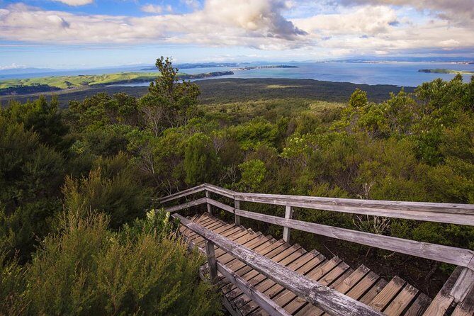 Auckland to Rangitoto Island Ferry - What’s Included and What’s Not