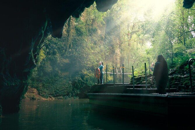 Auckland to Rotorua via Waitomo Caves Small Group Tour (One Way) - What Could Be Better?