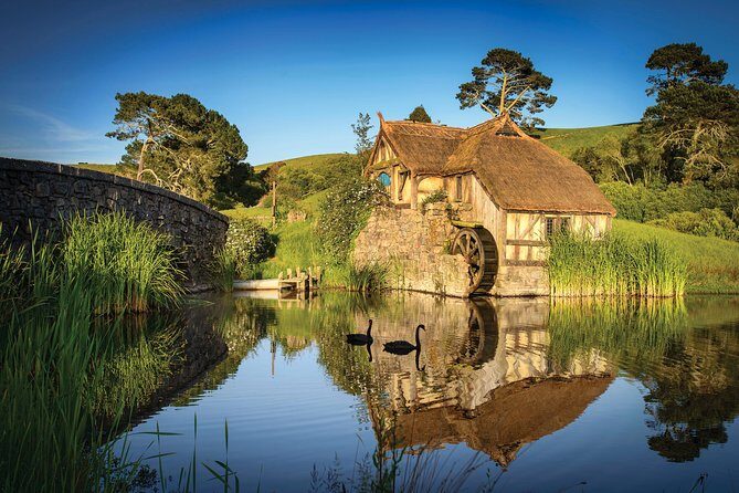 Auckland to Waitomo Caves and Hobbiton Movie Set Private Tour - What Travelers Say