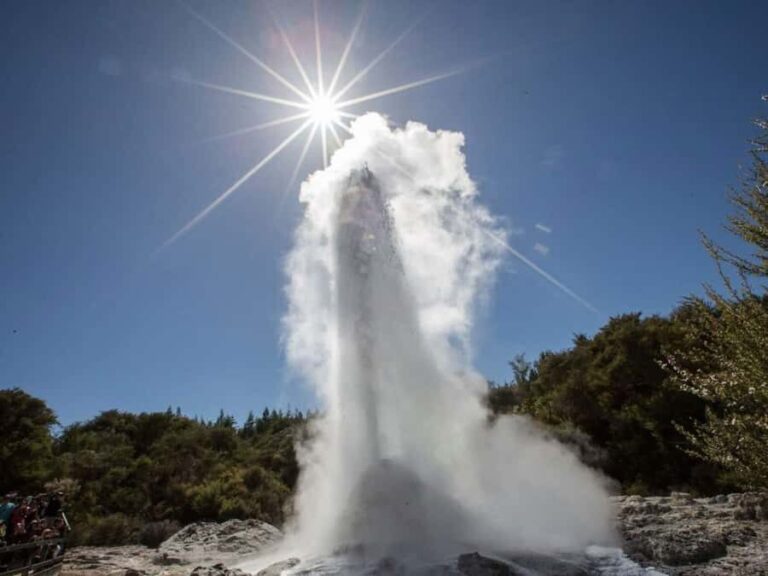 Auckland: Wai-O-Tapu & Wai Ariki Hot Springs Day Tour - What Makes This Tour Stand Out?