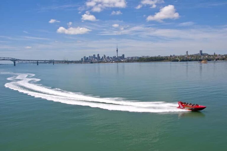 Auckland: Waitemata Harbour Jet Boat Ride - The Value and Practicalities