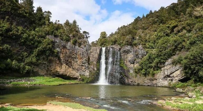 Auckland Waterfall Tour - What’s Included and Practical Considerations
