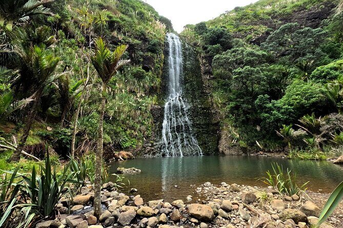 Auckland West Coast Rainforest and Beach Tour - Karekare Falls & Rainforest Walk – A Hidden Gem