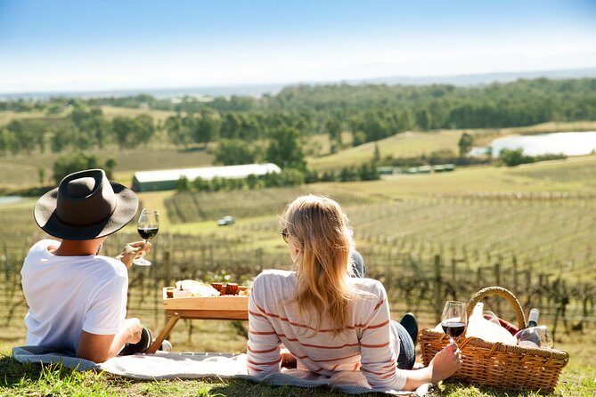 Audrey Wilkinson Vineyard: Picnic with Wine Masterclass Tasting - A Step-by-Step Breakdown of the Itinerary