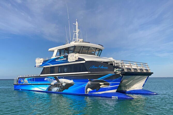 Augusta Whale Watching Eco Tour - Who Should Consider This Tour?