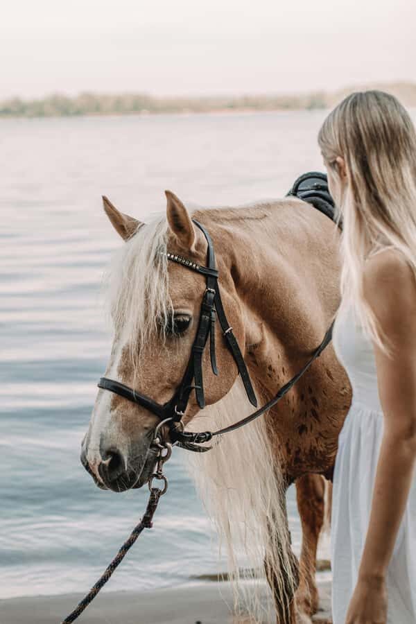 Australia: Beach Horse Ride and Lagoon Swim with Photos - The Itinerary Breakdown