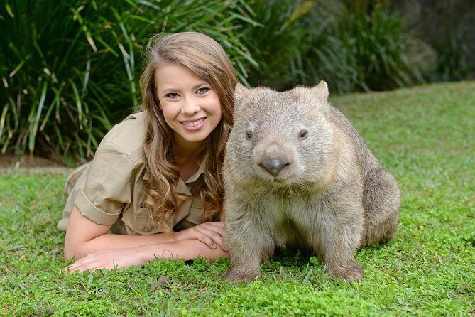 Australia Zoo Day Trip from Brisbane - Who Should Consider This Tour?