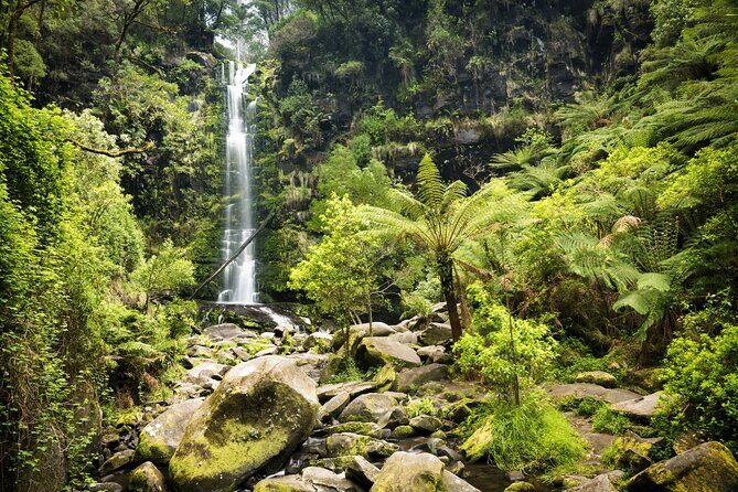 Australias Great Ocean Road Self-Guided Driving Audio Tour - The Itinerary in Detail: What You’ll See and Experience
