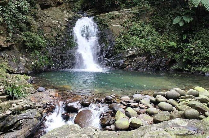 Bach Ma Park via Hai Van Pass Private Full-Day Trekking Tour - What Travelers Are Saying