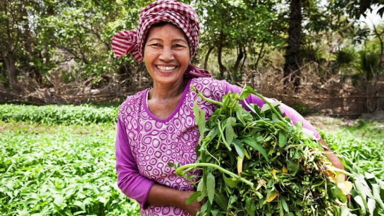 Back to Basics: Village Life Tour from Siem Reap - What Makes This Tour a Great Value?