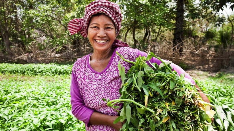 Back to Basics: Village Life Tour from Siem Reap - What Makes This Tour a Great Value?