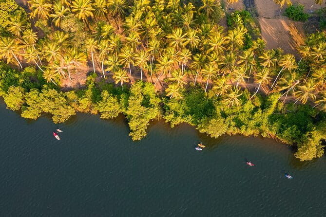 Backwater Kayaking Experience - Price and Value Analysis