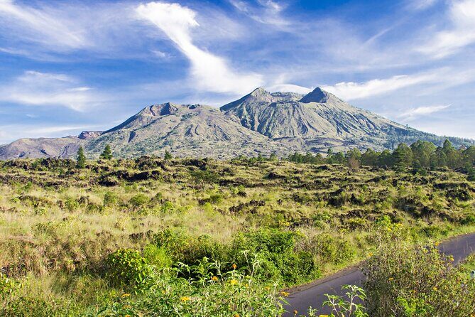 Bali: All Inclusive in Kintamani Private Tour - Cultural Immersion: Penglipuran Village