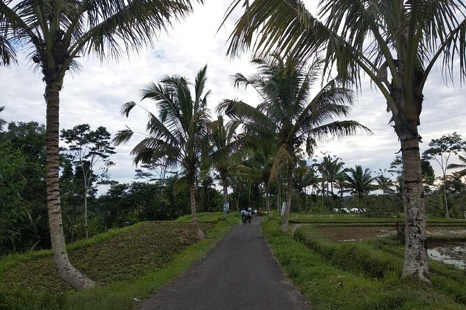 Bali Amazing Cycling Tour - Post-ride and Practical Info