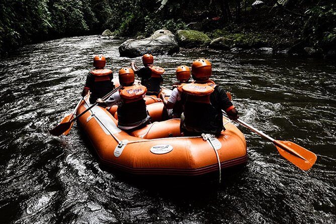 Bali Ayung River White Water Rafting with Transport - Value and Practical Tips