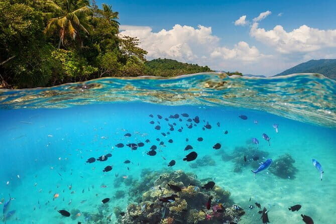 Bali Blue Lagoon Snorkeling Tour All Inclusive - Detailed Breakdown of the Itinerary