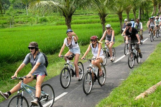 Bali Countryside Cycling Tour by Halo Bike Tour - Why This Tour Offers Great Value