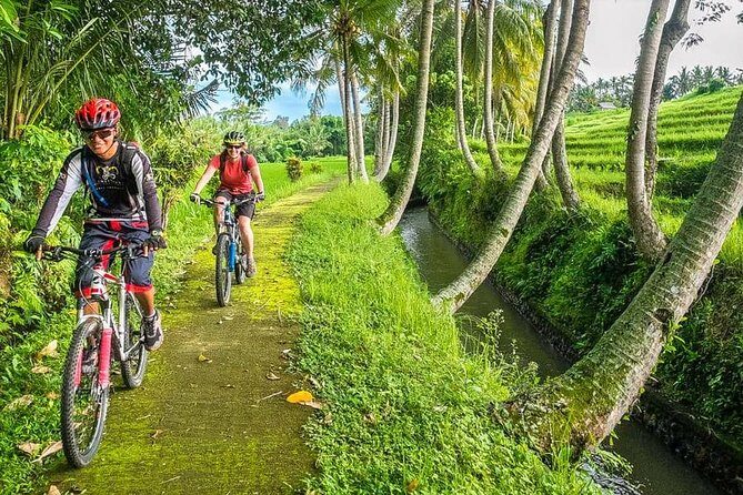 Bali Downhill Cycling and White Water Rafting - Why This Tour Stands Out
