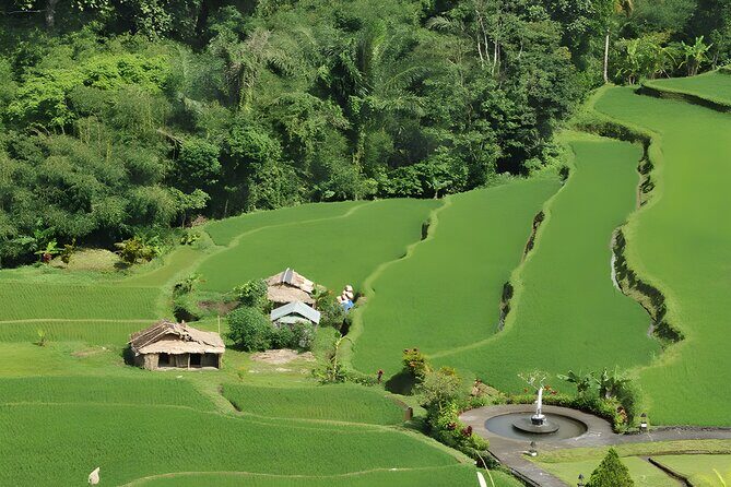 Bali Full-Day Car Charter: Beauty of North Bali Tour - Visiting Munduk Waterfall: A Hidden Gem