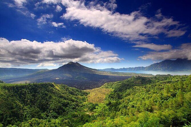 Bali Full-Day Car Charter: Ubud and Kintamani Volcano Trip - Key Points
