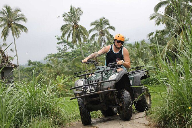 Bali : Half Day Quad Bike Tour with Lunch - Who Will Love This Tour?