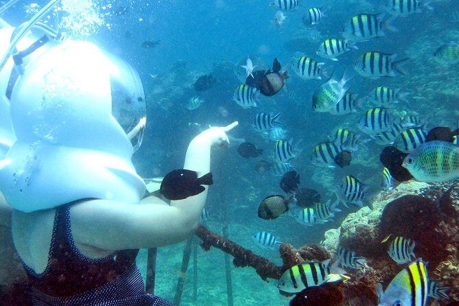 Bali Ocean Walker - The Itinerary: What You’ll Experience
