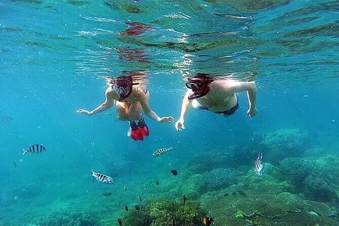 Bali Snorkeling at Blue Lagoon and Tanjung Jepun - The Snorkeling Spots in Detail