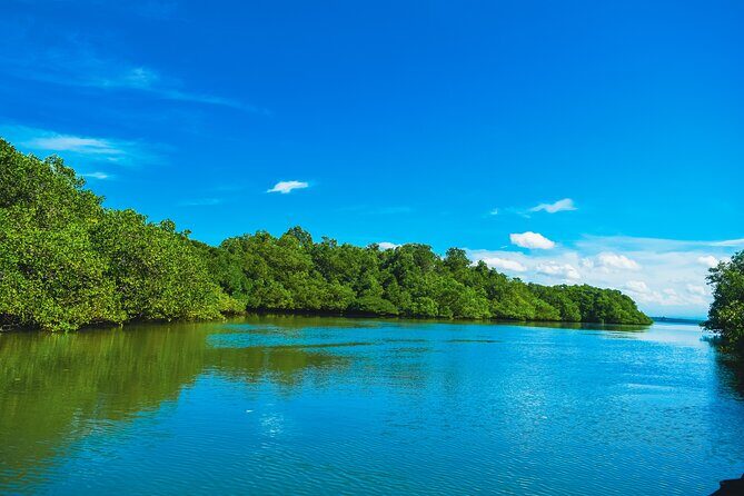 Bali Tropical Snorkeling and Mangrove Cruise - The Value and Authenticity of the Tour