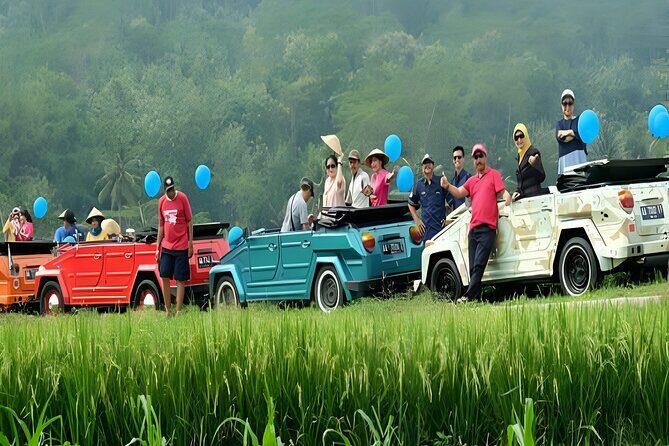 Bali Volkswagen Classic Car: The Gates of Heaven Tour - Who Will Love This Tour?
