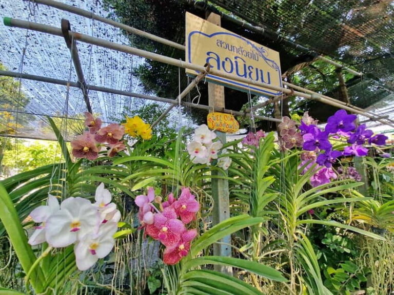 Bangkok Canals Hop-On Hop-Off Boat Tour - What to Expect on the Tour