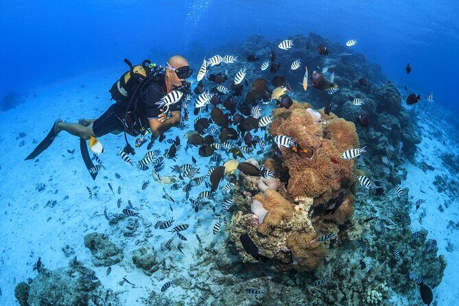 Baptism diving in the turquoise waters of Tahiti - The Experience: More Than Just a First Swim