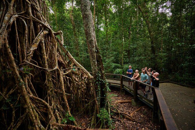 Barefoot Atherton Tablelands Adventure by Cairns Waterfalls - Who Will Love This Tour?
