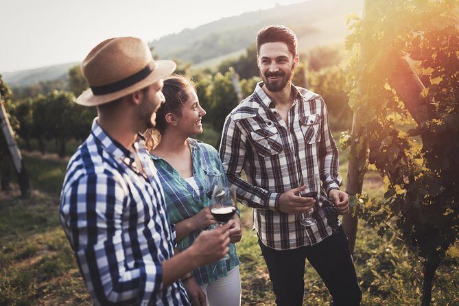 Barefoot Luxury Mount Tamborine Winery Tour from Gold Coast - Final Thoughts: Is This Tour Right for You?