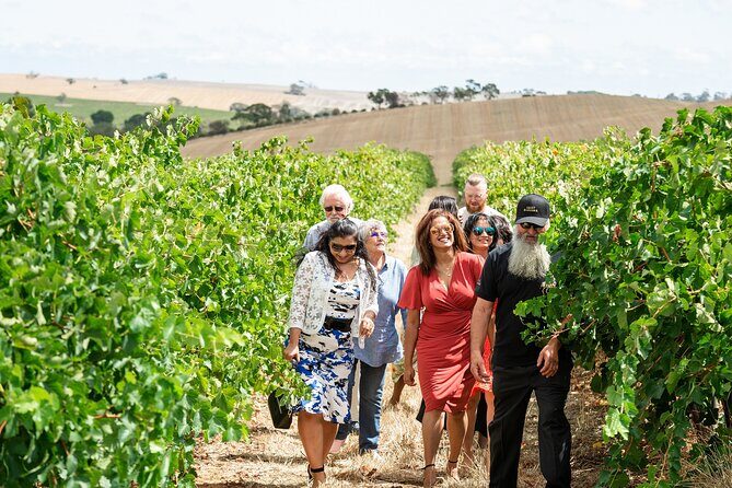 Barossa 4 Hours Wine Experience and Vineyard Walk with Lunch - Practical Details and Considerations