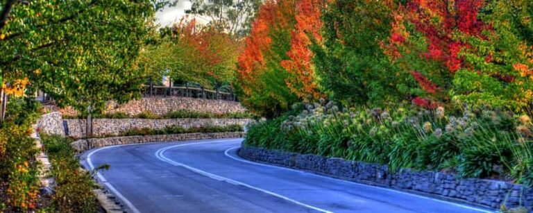 Barossa and Hahndorf Hill Tour - The Overall Value of the Tour
