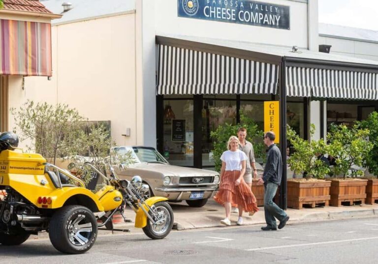 Barossa Food & Wine Trail on an Exhilarating Trike - Who Will Love This Tour?