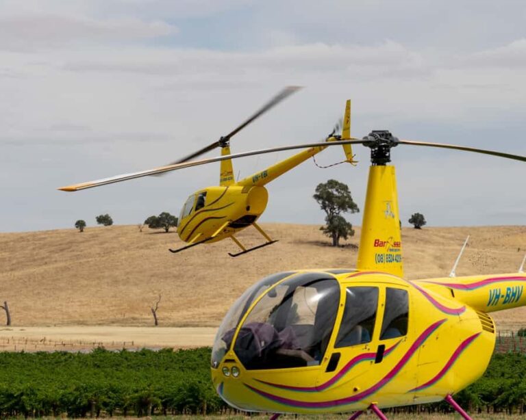 Barossa Valley: 30 Minute Scenic Helicopter Flight - Practical Details and Traveler Tips