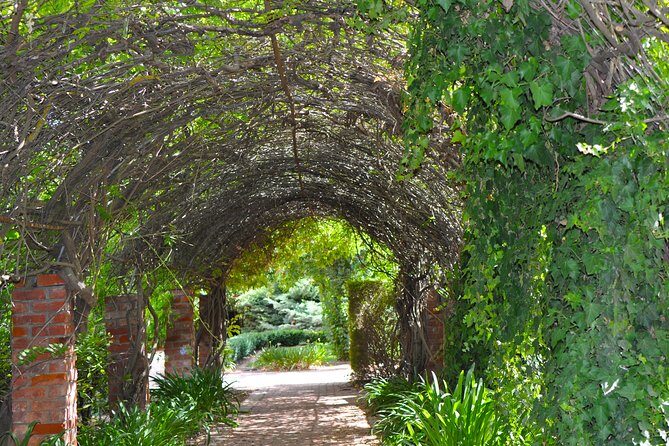 Barossa Valley Cellar Door Small Group Tour - Final Thoughts: Is This Tour Right for You?