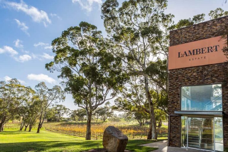 Barossa Valley: EcoVine Explorer - e-cart vineyard tour - Who will love this experience?